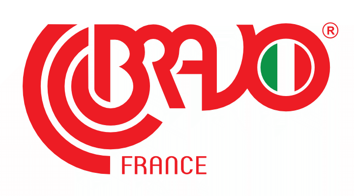 Logo BRAVO FRANCE