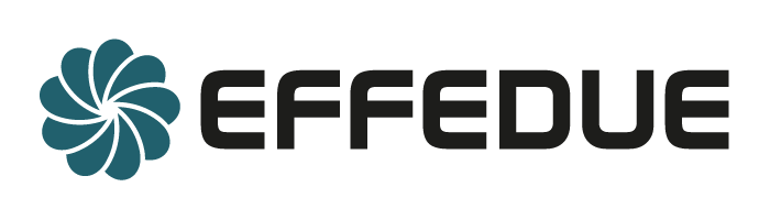 Logo EFFEDUE